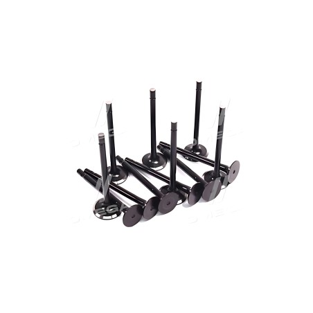 RD-885405072525 Клапана головки блоку циліндрів к/кт (12 шт) Еталон, ТАТА (RIDER) фото від Мотор-Агро Харків Україна