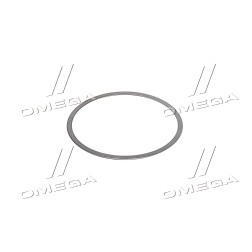 R301433 Кільце кришки диференціала регулювальне 0,825 мм. (R301433) (John Deere) фото від Мотор-Агро Харків Україна
