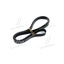 6PK1880 Ремінь поліклін. (вир-во DAYCO) фото від Мотор-Агро Харків Україна