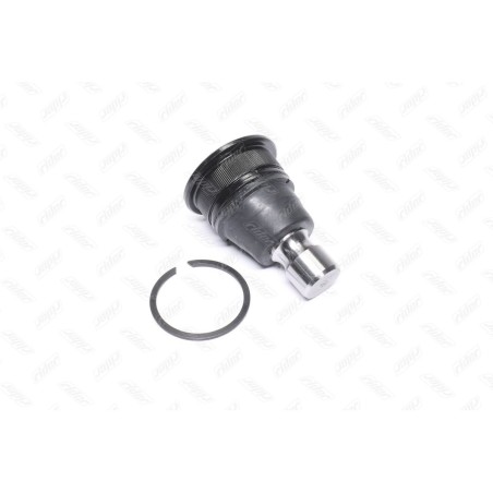 RD.545009Y000 Опора шаровая NISSAN QASHQAI, X-TRAIL 07- (RIDER)(шт.) від Мотор-Агро Харків Україна