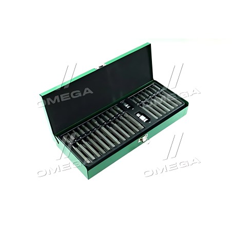 GAAD4002 Набір біт 10мм HEX, TORX, SPLINE 40од. GAAD4002(TOPTUL) фото від Мотор-Агро Харків Україна