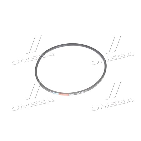 SPB 1450 Ремінь SPB 1450 (УБ-1450) (вир-во Rubena) фото від Мотор-Агро Харків Україна