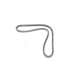 RD 13A1025VS Ремінь кліновий 13A1025 DAF 85 CF, 95, 95 XF, CF 85 ZETOR CASE IH JOHN DEERE 4000 MASSEY FERGUSO фото від Мотор-Агр