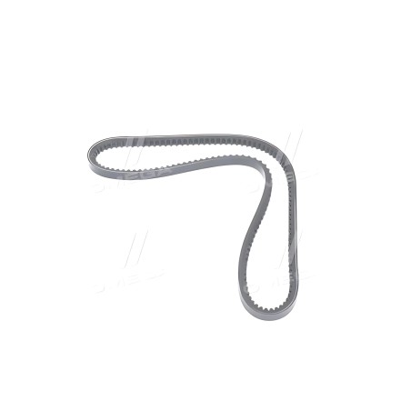 RD 13A1025VS Ремінь кліновий 13A1025 DAF 85 CF, 95, 95 XF, CF 85 ZETOR CASE IH JOHN DEERE 4000 MASSEY FERGUSO фото від Мотор-Агр