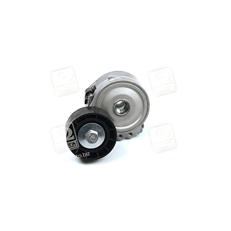APV1030 Планка натяжна CITROEN, FIAT (вир-во DAYCO) фото від Мотор-Агро Харків Україна
