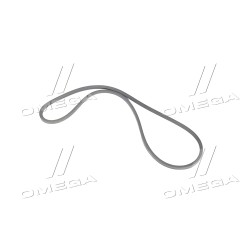 8,5х8х1280 CR Ремінь 8,5х8х1280 Д 120, Д-21, Д-37Е, Д-144 ПРЕМІУМ (RIDER) фото від Мотор-Агро Харків Україна