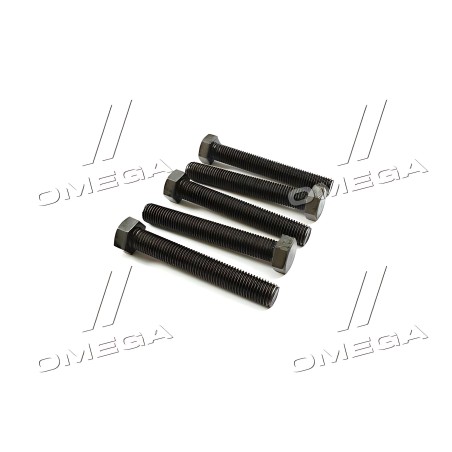 М16х110 Болт М16х110х2,0 шестигранний (1кг 1 компл) 5,8 ГОСТ 7798-08 (повне різьблення) чорний фото від Мотор-Агро Харків Україн