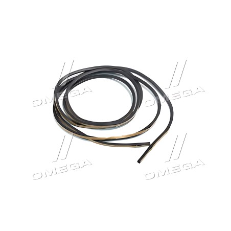 5611760100 Ущільнювач лобового скла Toyota Land Cruiser 07- Lexus LX (вир-во Toyota) фото від Мотор-Агро Харків Україна