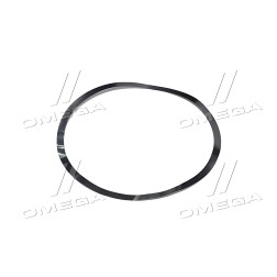 R172051 Кільце ущільнювальне, металеве 0.08 мм. JD8430/8530 (R172051) (JD) фото від Мотор-Агро Харків Україна