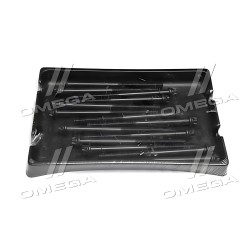 016253B Комплект болтів головки цилідра BMW M20B20 (вир-во Corteco) фото від Мотор-Агро Харків Україна