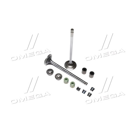 RE557890 Клапан впускний СТ, з втулками і манжетами JD4.5/6.8L (RE557890, RE531221, R518806) (JD) фото від Мотор-Агро Харків Укр
