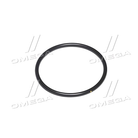 R122886 Кільце ущільнювальне 1/8 X 2 3/8 (R122886/F37030229) (JD) фото від Мотор-Агро Харків Україна