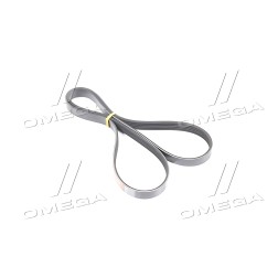 5PK1240XS Ремінь поліклін. 5PK1240XS (Вир-во Gates) фото від Мотор-Агро Харків Україна