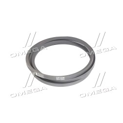 В(Б)-2500 Ремінь В(Б)-2500 ДК фото від Мотор-Агро Харків Україна