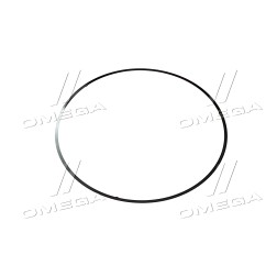 R93948 Кільце ущільнювальне гільзи-поршня TK 0.050 мм. JD8430/8530 (R93948) (JD) фото від Мотор-Агро Харків Україна