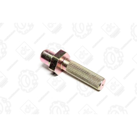 RD52523-6108364 Палец двери нижний Эталон, Богдан (эксцентрик) (24х91) (RIDER)(шт.) від Мотор-Агро Харків Україна