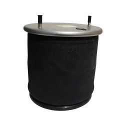 542919-CP Пневморесора зі стаканом 2919v фото від Мотор-Агро Харків Україна