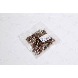 TP 99.17.29 Заклепка 6,35х17,5 L11 накладки барабанного гальма (100 шт.) (TEMPEST) фото від Мотор-Агро Харків Україна