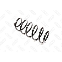 RD.34110059 Пружина підв. VW CADDY 04- передн. (RIDER) фото від Мотор-Агро Харків Україна