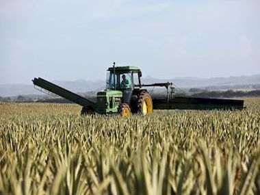 Запчастини і деталі до тракторів, комбайнів, спецтехніки
